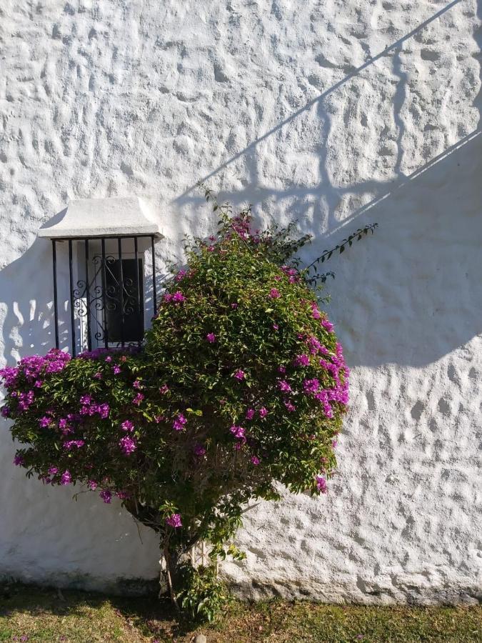 Appartement Benamara Gardens, With Pool, 100m From Near Marbella & Estepona